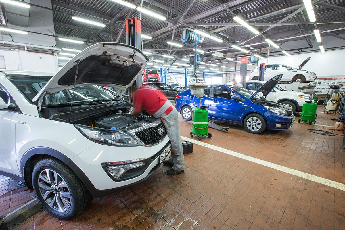 Автогермес Рябиновая
