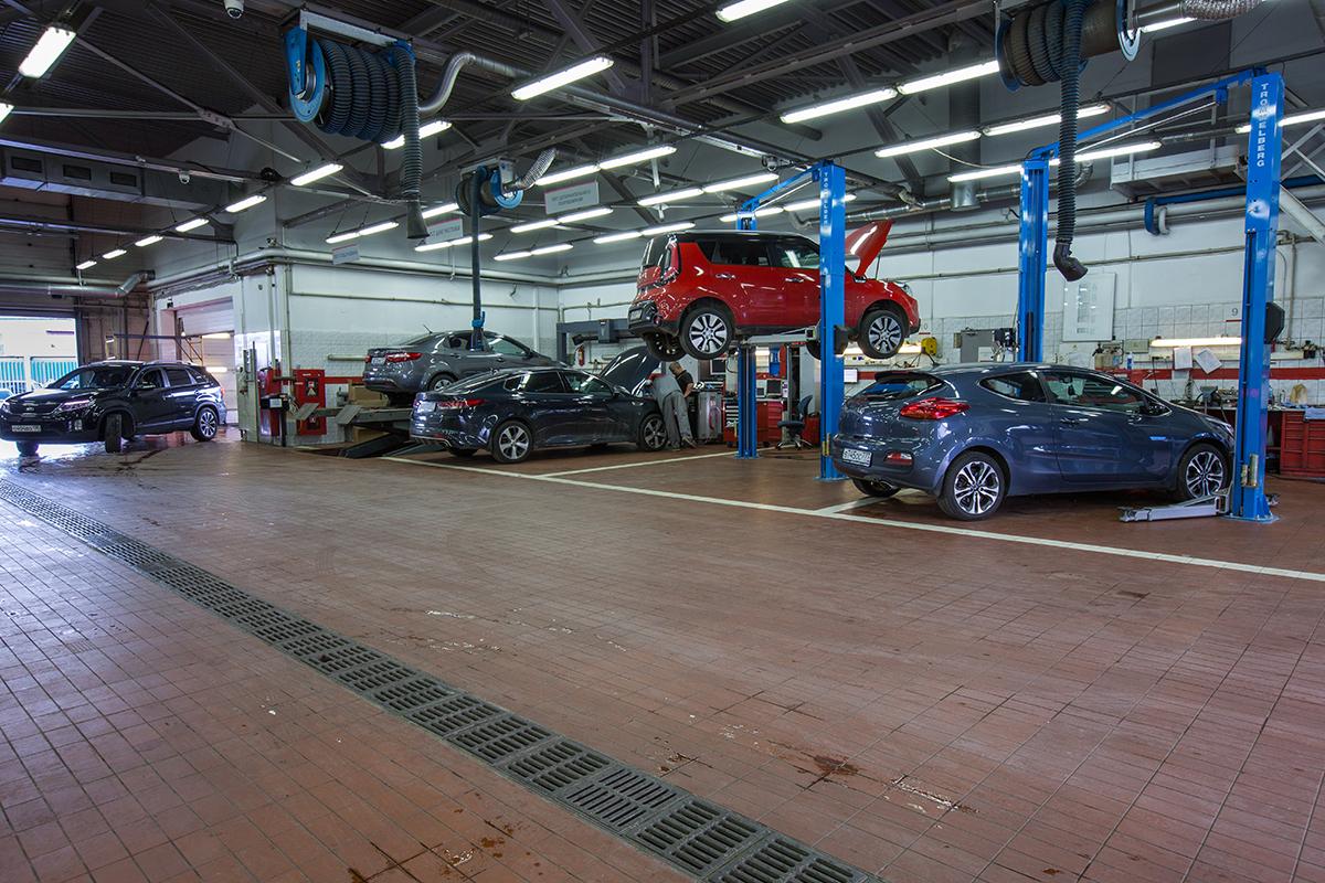 Автогермес Рябиновая